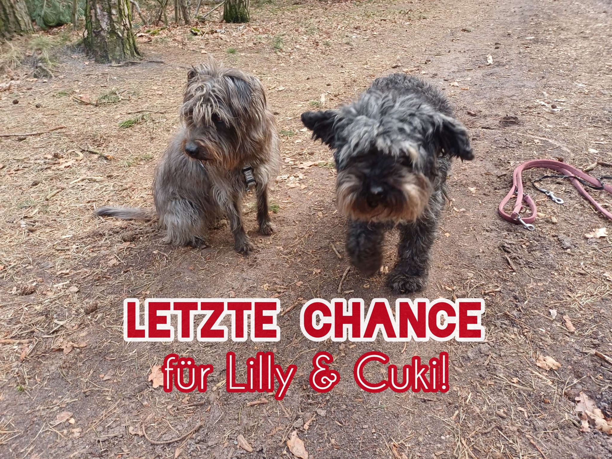 Notfall Lilly & Cuki