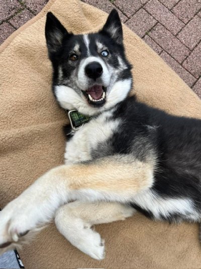 Hera