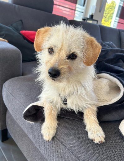 Zuni