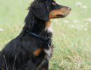 dsc00185