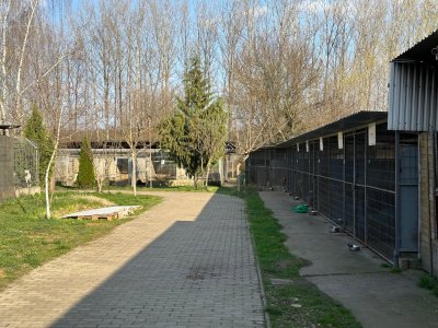 image00007