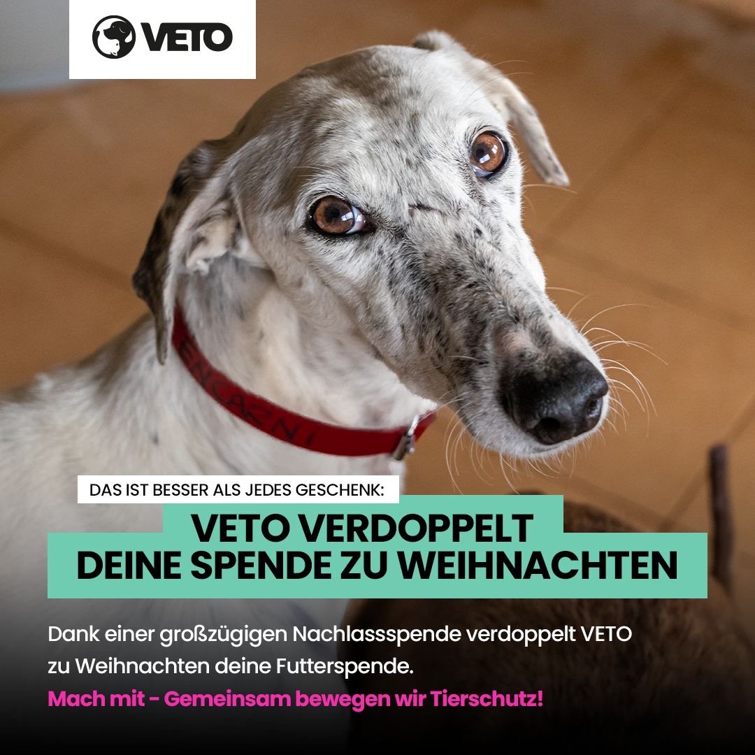 VETO Spendenmarathon